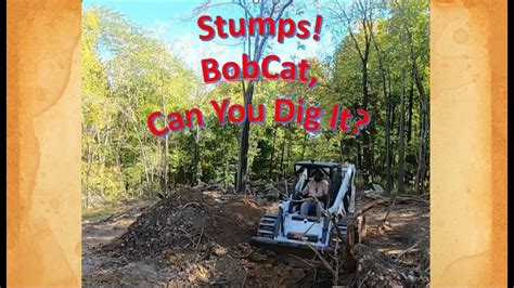 can a skid steer dig up stumps|bobcat skid steer stumps.